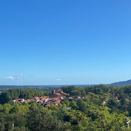 Sculptors Retreat Apartment Ceret Bagian luar foto