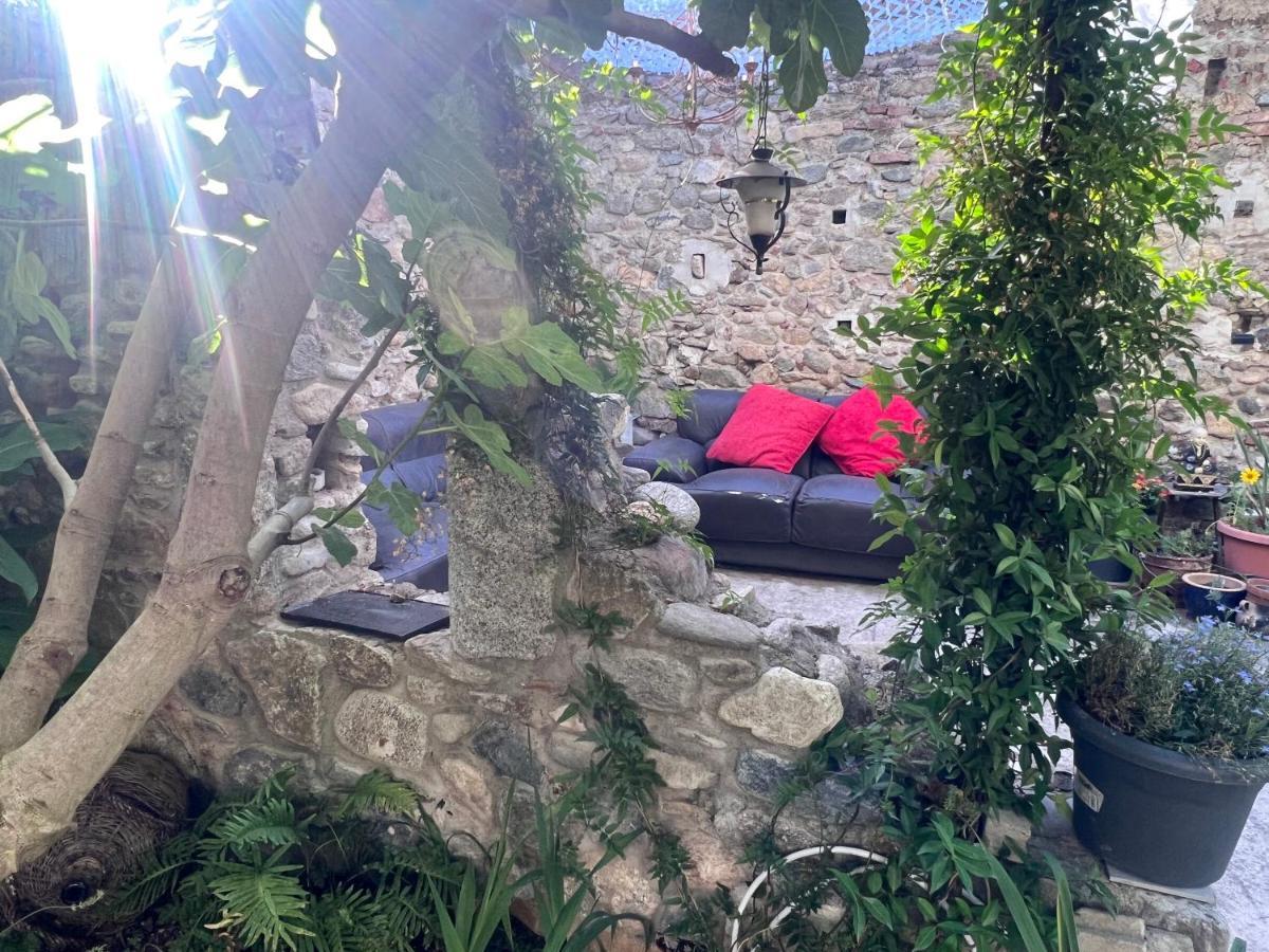 Sculptors Retreat Apartment Ceret Bagian luar foto