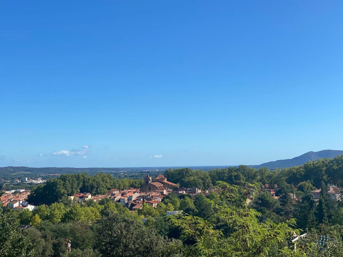Sculptors Retreat Apartment Ceret Bagian luar foto